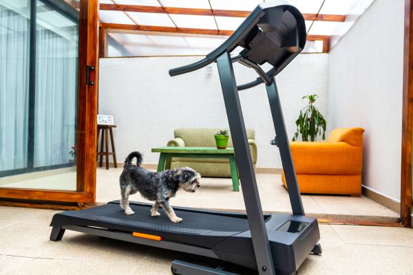 Treadmill Installation in Leesburg