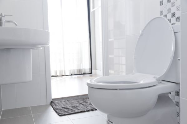 Toilet Seat Installation in Leesburg