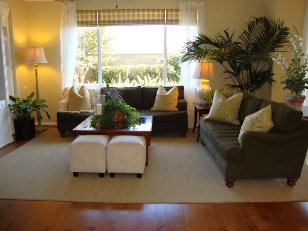 Valance Rod Installation in Leesburg