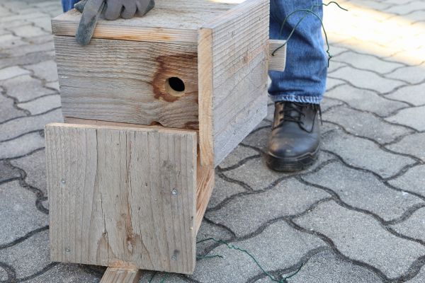 Birdhouse Mounting in Leesburg