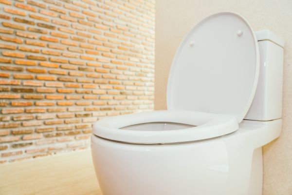 Toilet Seat Repair in Leesburg